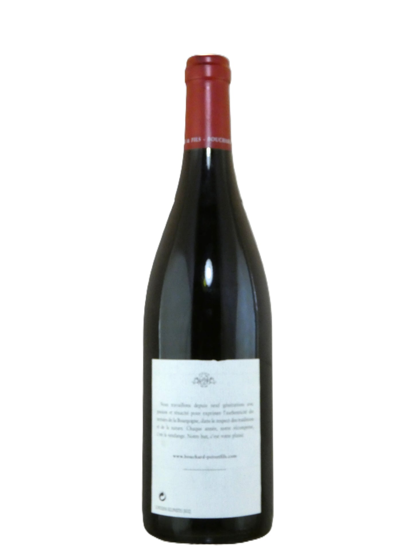 Bouchard Pere & Fils Gevrey Chambertin Les Cazetiers - 2005 (750ml)