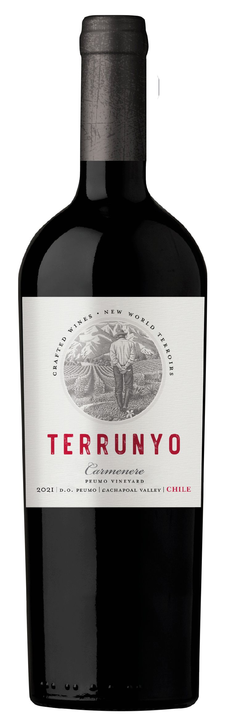 Concha y Toro Terrunyo Carmenere Blopck 27 - 2019 (750ml)
