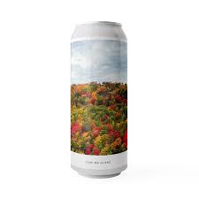 Evil Twin Leaf Me Alone TIPA(16oz 4pk Can)