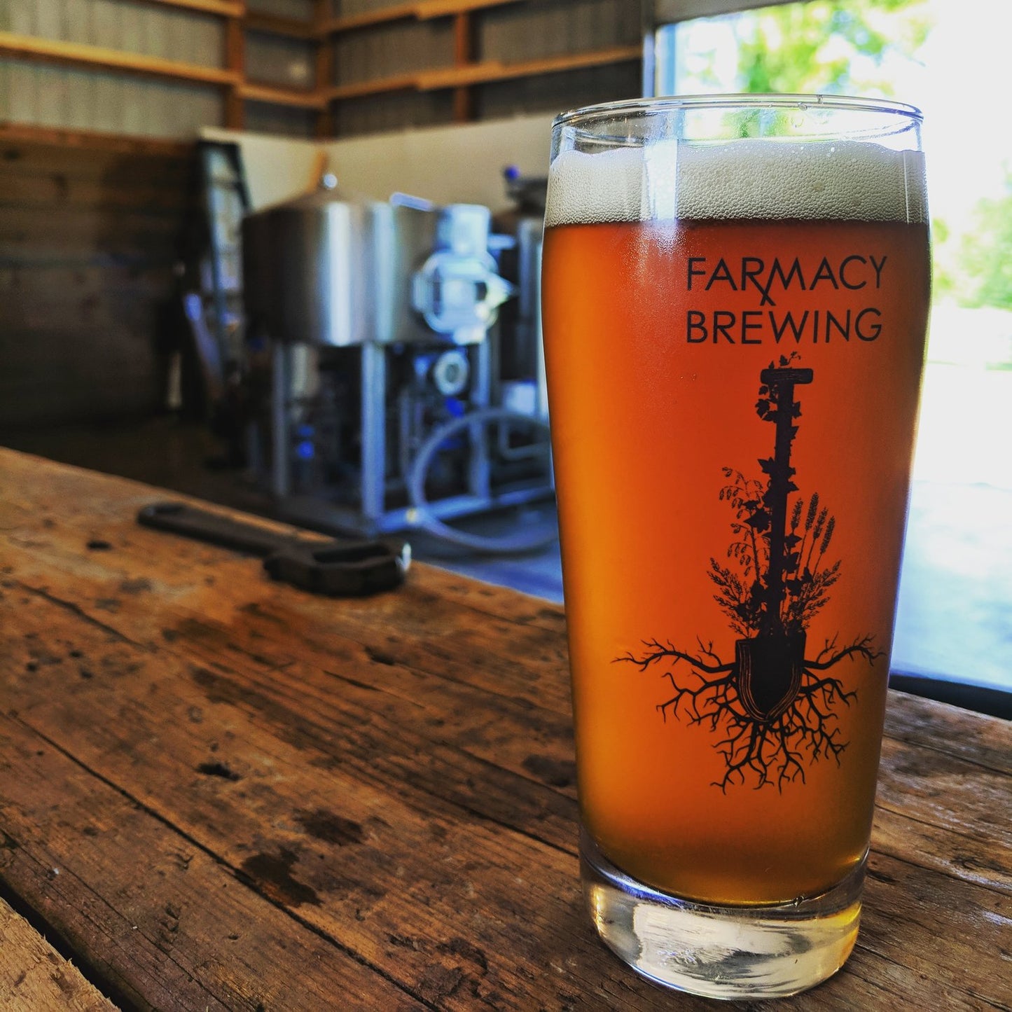 Farmacy Brewing Jumble Sour Ale