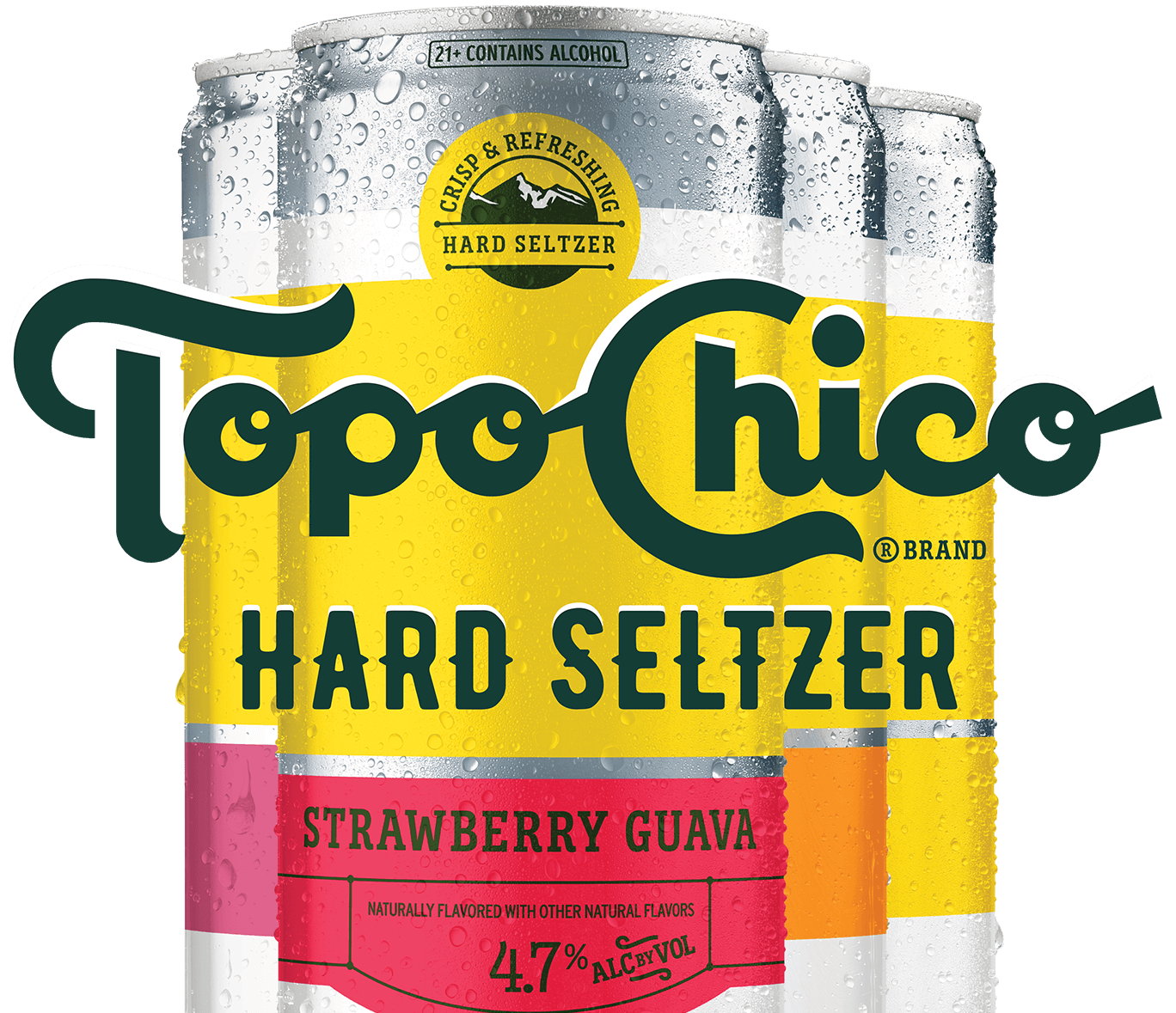 Topo Chico Hard Seltzer Variety Pack (12oz Can 12 Pk)