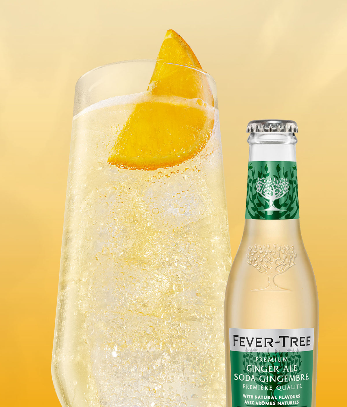 Fever Tree Ginger Ale (10oz Btl 4 Pk)