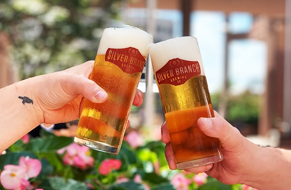 Silver Branch Laurel Park Golden Lager(12oz Can 6pk)