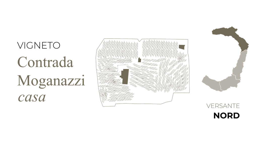 I Custodi delle Vigne dell’Etna Aetneus Etna Rosso - 2020 (750ml)