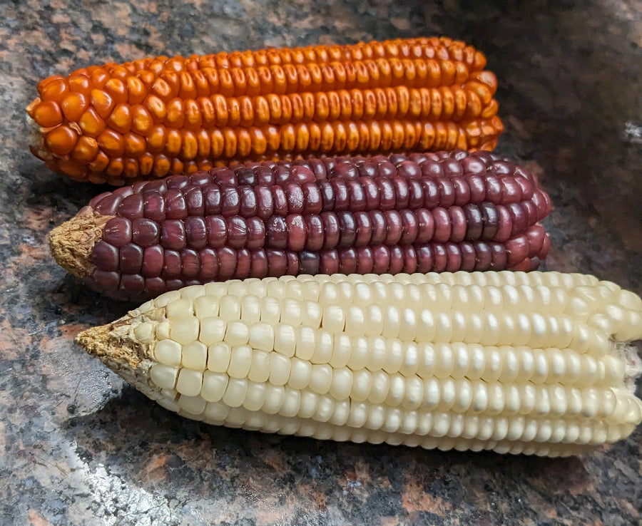 Gran Maizal Mexican Corn Whisky (750ml)