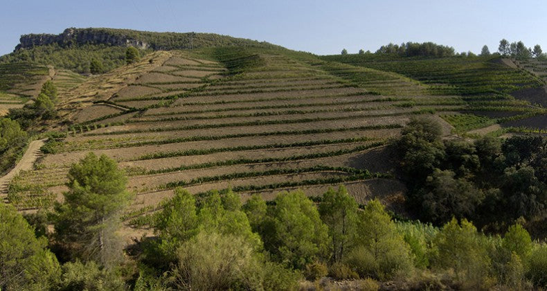 Casa Gran del Siurana Gran Cruor Priorat - 2014 (750ml)