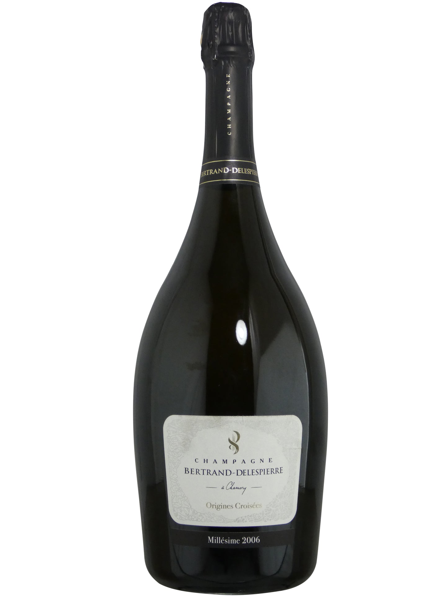 Bertrand Delespierre Brut Vintage 1er Cru - 2006 (1.5L)
