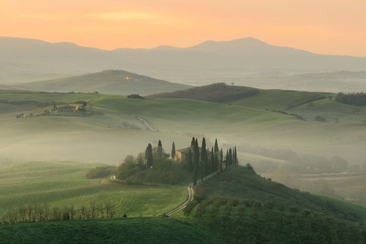 Voyage to Tuscany: Falling in Love with the Land and Wines