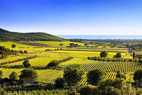 'Special Selections' Tour of Italy, Guided Tasting on May 13th