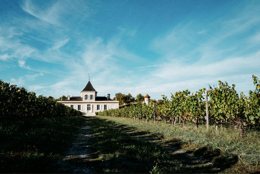 A Night with Chateau Brane Cantenac 6/17/25 (Ticket/Reservation)