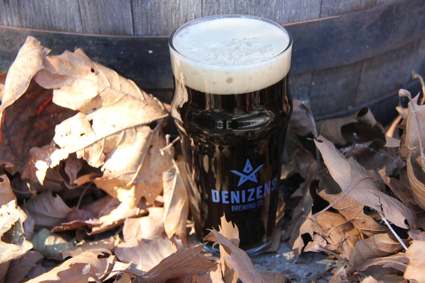 Denizen's Cool Breeze Oatmeal Stout(12oz 6Pk Can)