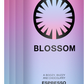 Blossom Espreso Martini (12oz 4pk Can)