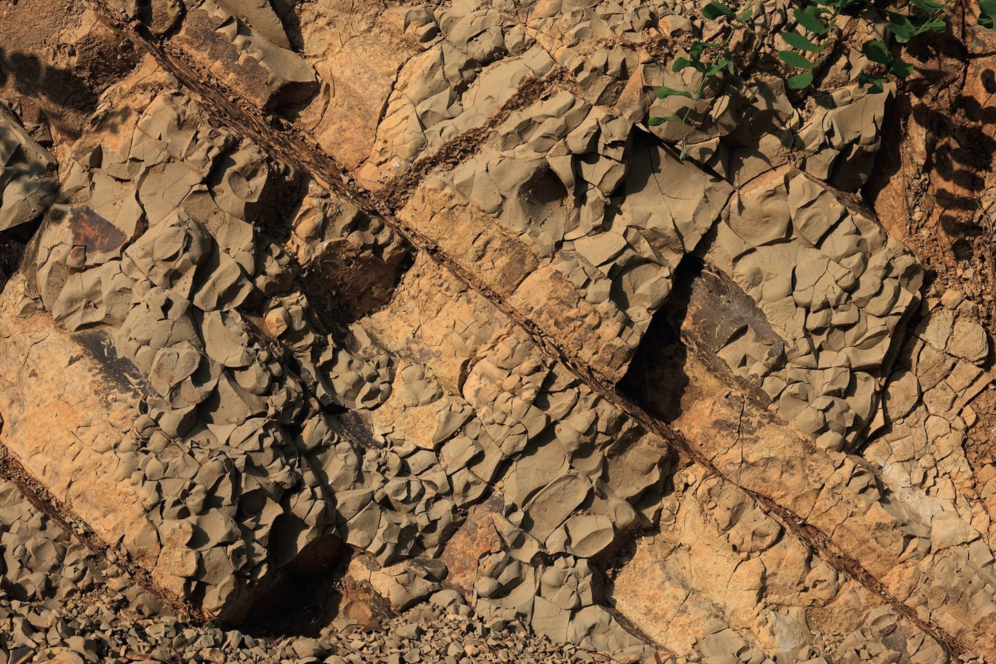 La Roncaia Eclisse White Blend - 2024 (750ml)