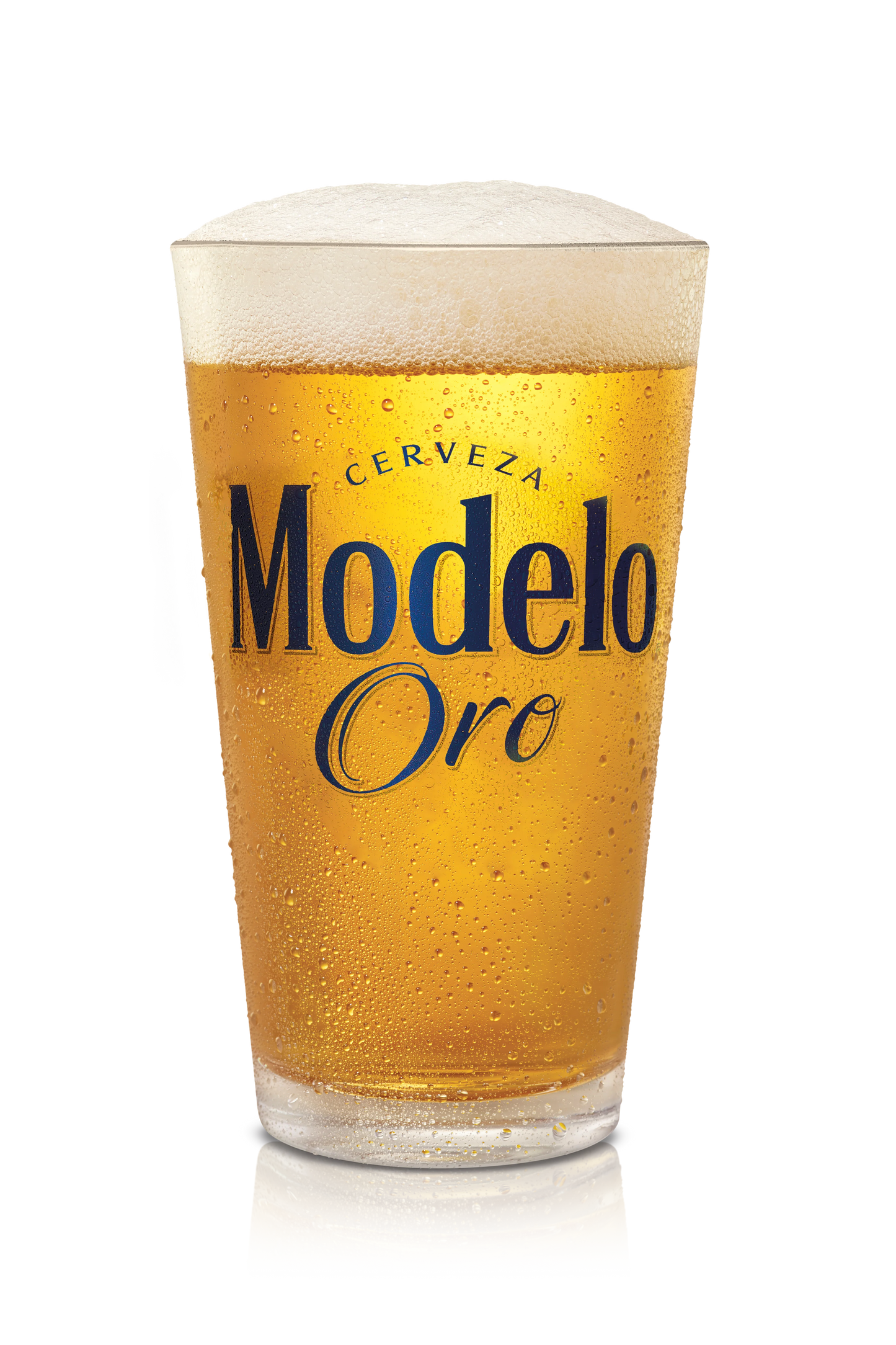 Modelo Oro 12pk (12oz Can 12 Pk)