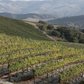 Rancho Las Hermanas Chardonnay - 2021 (750ml)