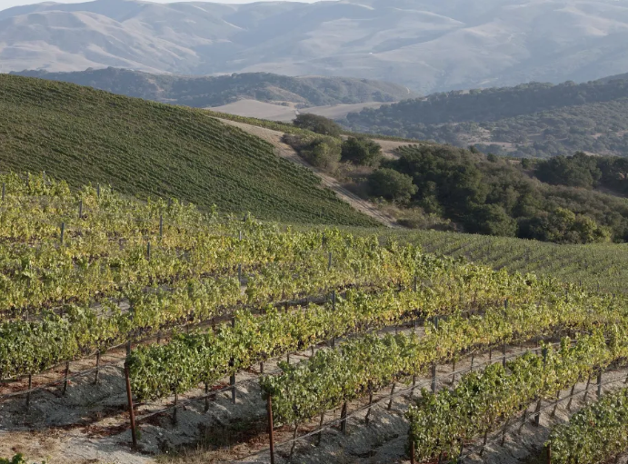 Rancho Las Hermanas Chardonnay - 2021 (750ml)