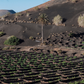 Bodegas Los Bermejos Lanzarote Listán Negro Maceracion Tradicional  - 2023 (750ml)