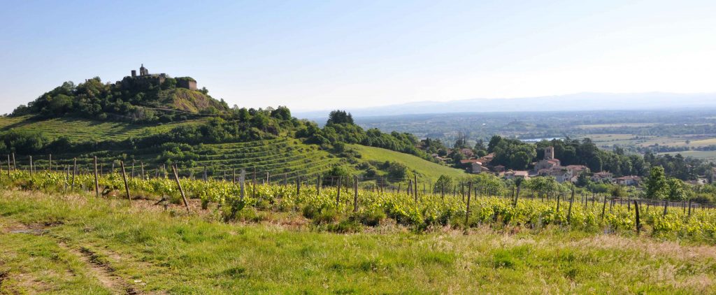 Verdier Logel Gamay Les Gourmets - 2023 (750ml)