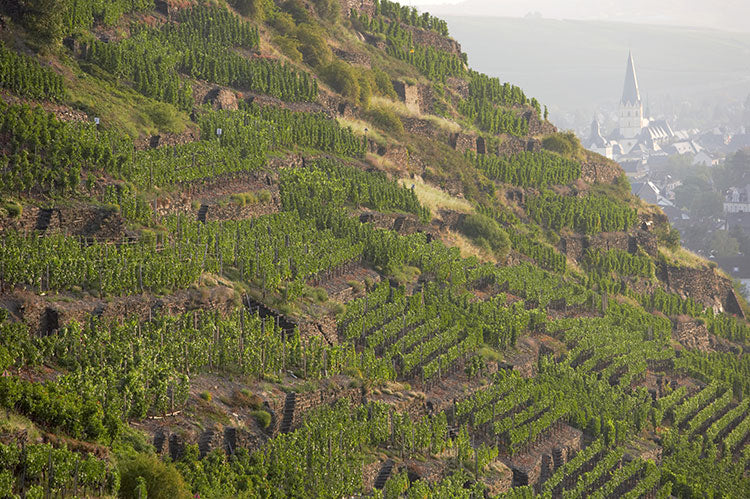 Meyer Nakel Estate Pinot Noir - 2022 (750ml)