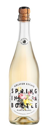 Wölffer Estate Spring in a Bottle Blanc de Blanc Sparkling NA - NV (750ml)