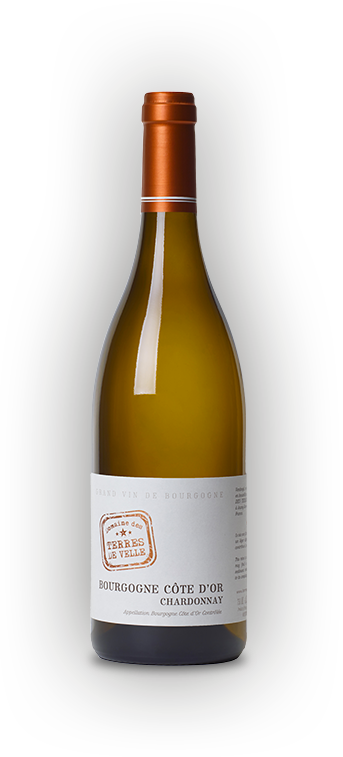 Domaine des Terres de Velle Bourgogne Cote d'Or Chardonnay - 2022 (750ml)