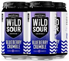 Desthil Wild Sour Blueberry Crumble(12oz 4pk Can)