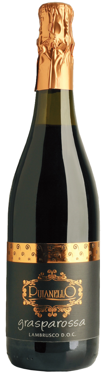 Cantina Puianello Lambrusco Colli di Scandiano edi Canossa - NV (750ml)
