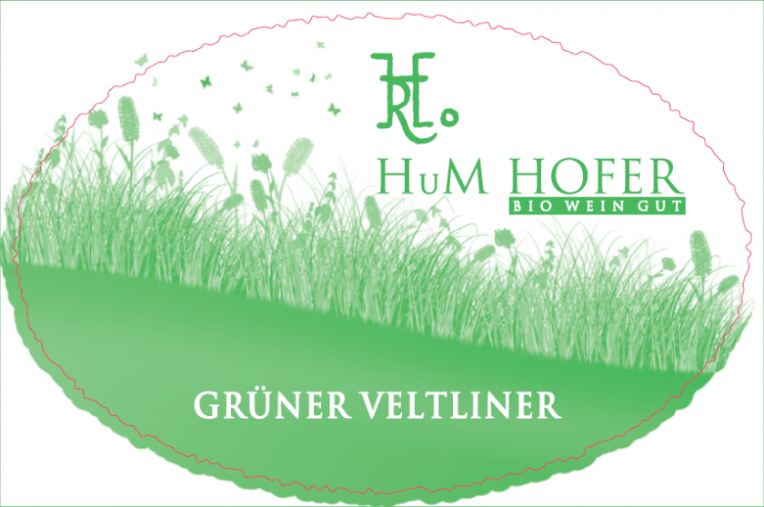 BioWeingut Hofer Gruner Veltliner - 2021 (1L)