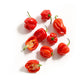 Christina's Hot Sauce Habanero Pepppers (5oz)