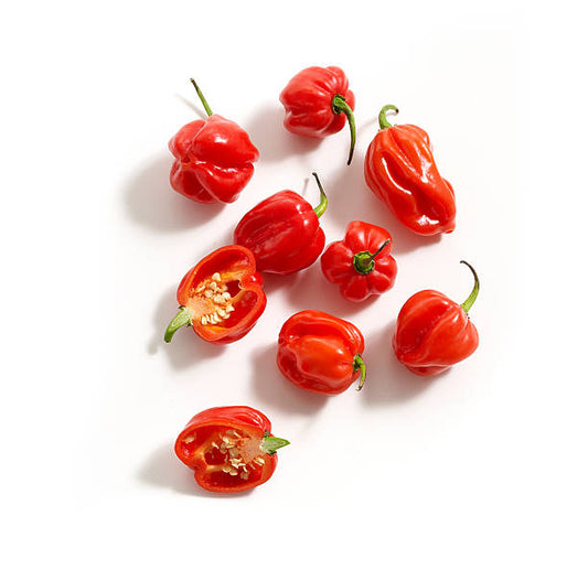 Christina's Hot Sauce Habanero Pepppers (5oz)