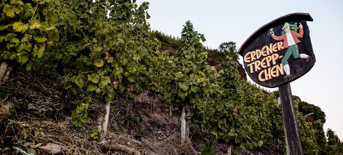 Dr. Loosen Erdener Treppchen Riesling GG Alte Reben - 2022 (750ml)