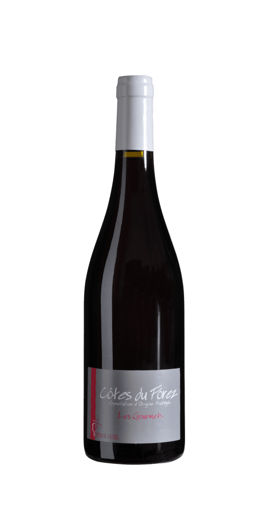 Verdier Logel Gamay Les Gourmets - 2023 (750ml)