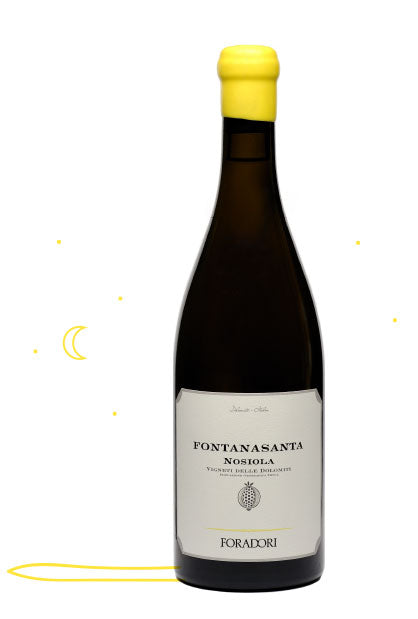 Foradori Fontanasanta Nosiola Vigneti delle Dolomiti IGT - 2021 (750ml)