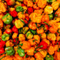 Christina's Hot Sauce Habanero Pepppers (5oz)