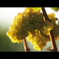Rombauer Chardonnay - 2023 (750ml)