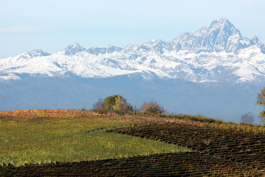 An Evening of Barolo with Vajra Hosted by Kevin Natoli (Wed, June 10)