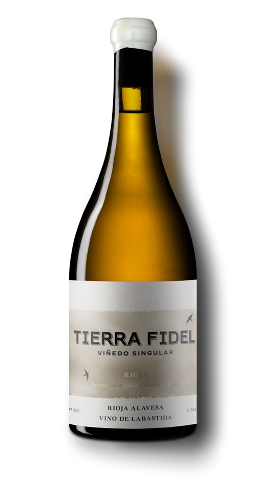 Bodegas Tierra Fidel Blanco Rioja Vino de Labastida - 2020 (750ml)